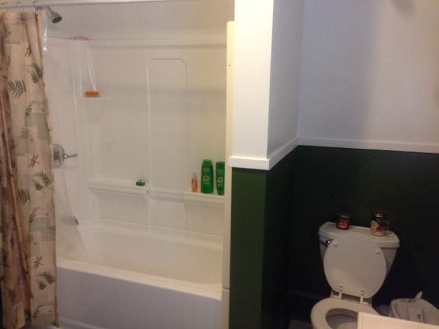 Bathroom Remodeling (After Two)