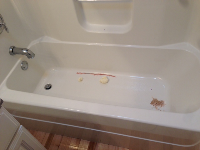 Bathtub Repair (Before)