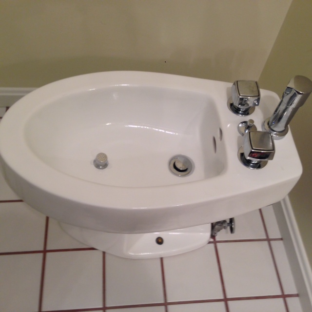 Toilet Refinishing (After)