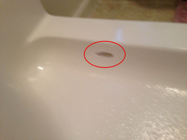 Shower Repair